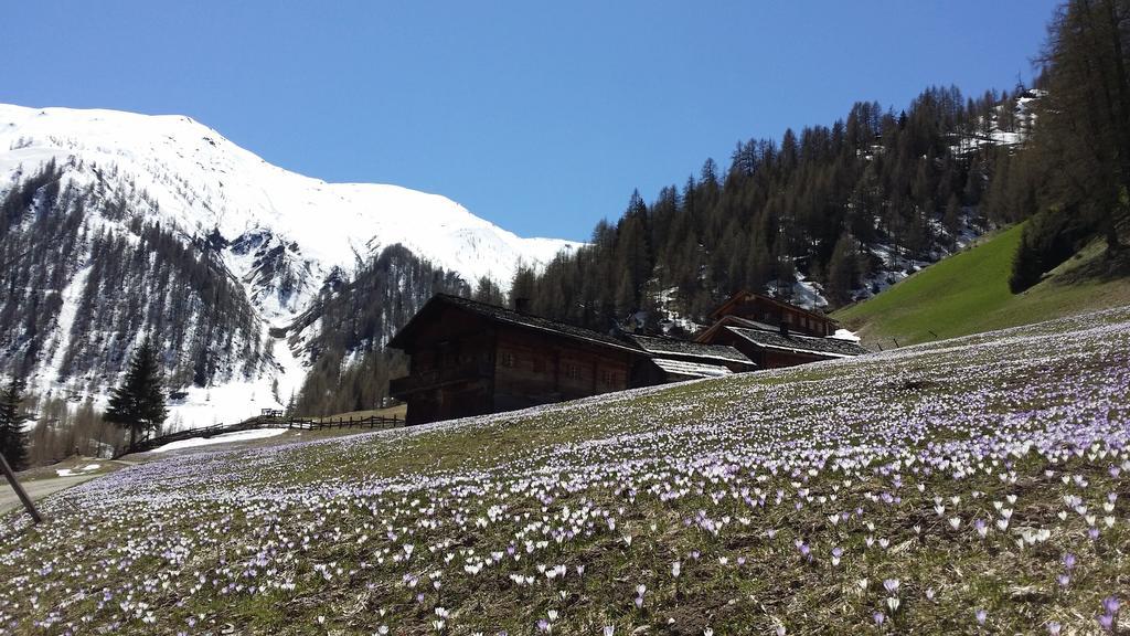 Giatla Hof Der Alfenalm - Ferienwohnungen Am Berg Innervillgraten Zewnętrze zdjęcie
